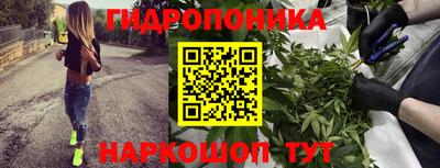 хмурый Гай