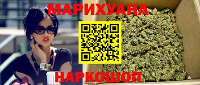 бошки Гатчина