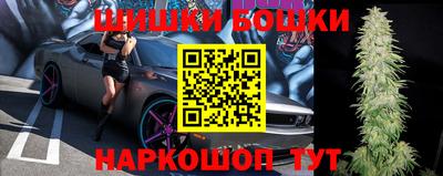 бошки Гатчина