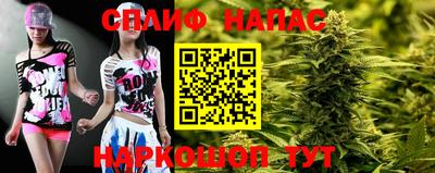 бошки Гатчина