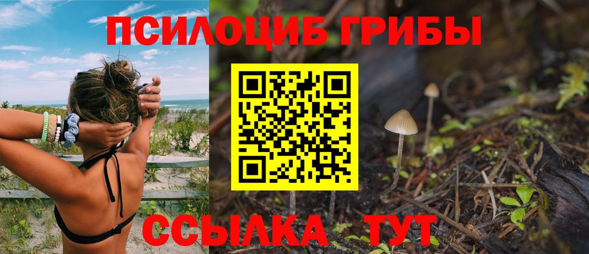 Лобня  Галлюциногенные грибы мухоморы  Галлюциногенные грибы Cubensis  Вход с VPN 